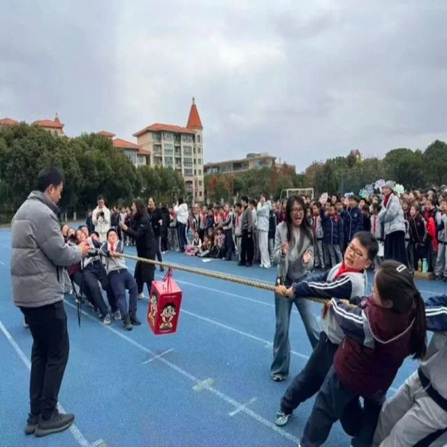 孙颖莎争冠路上的突破与挑战，背后的故事引发关注